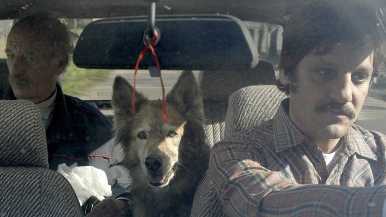 Road to La Paz backdrop