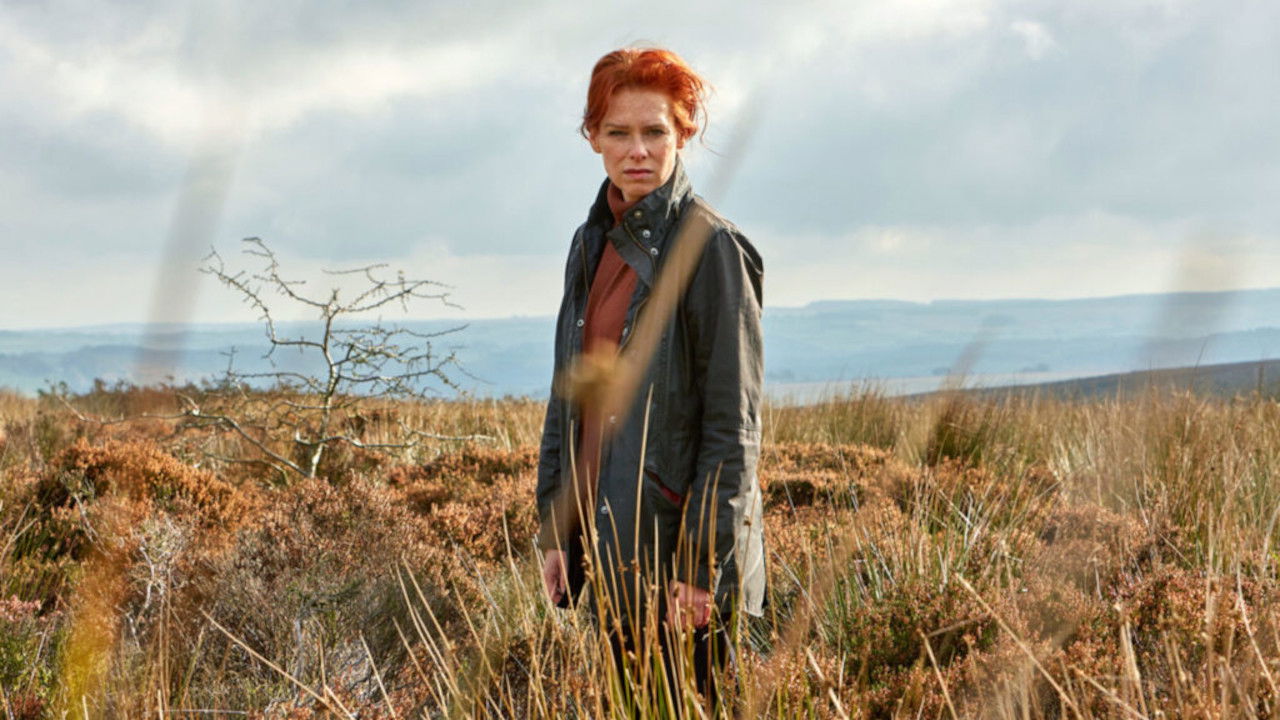 Charlotte Link - Die Suche backdrop