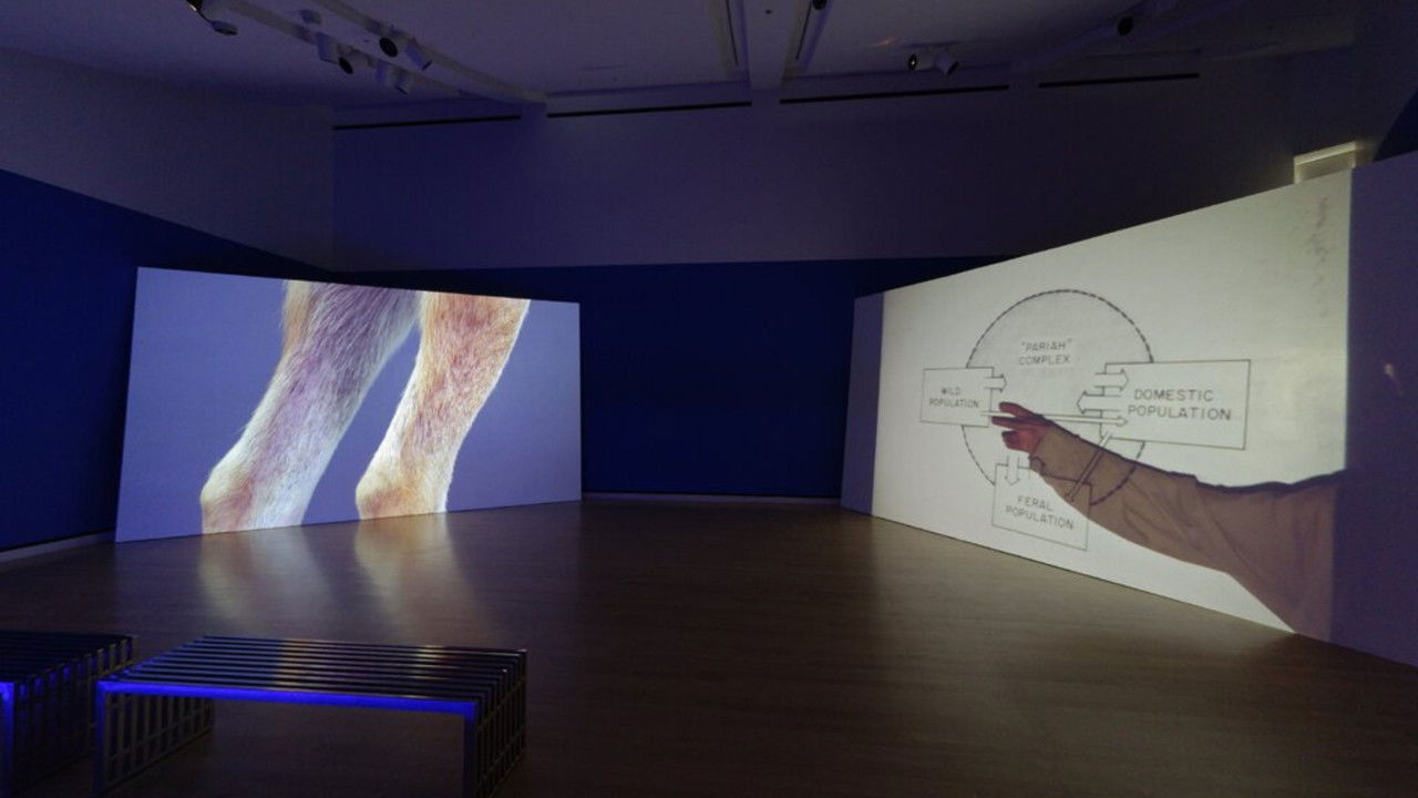 Heavy Water backdrop