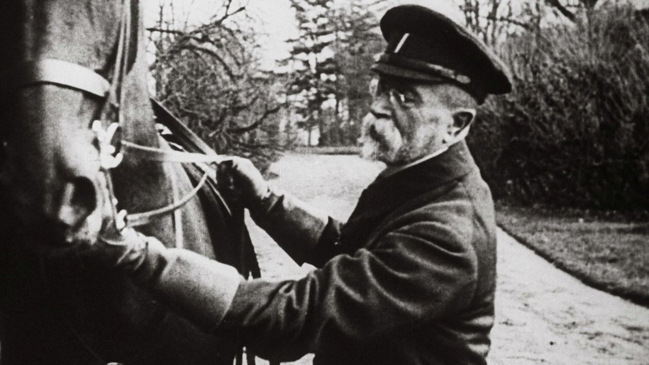 TGM the Liberator backdrop