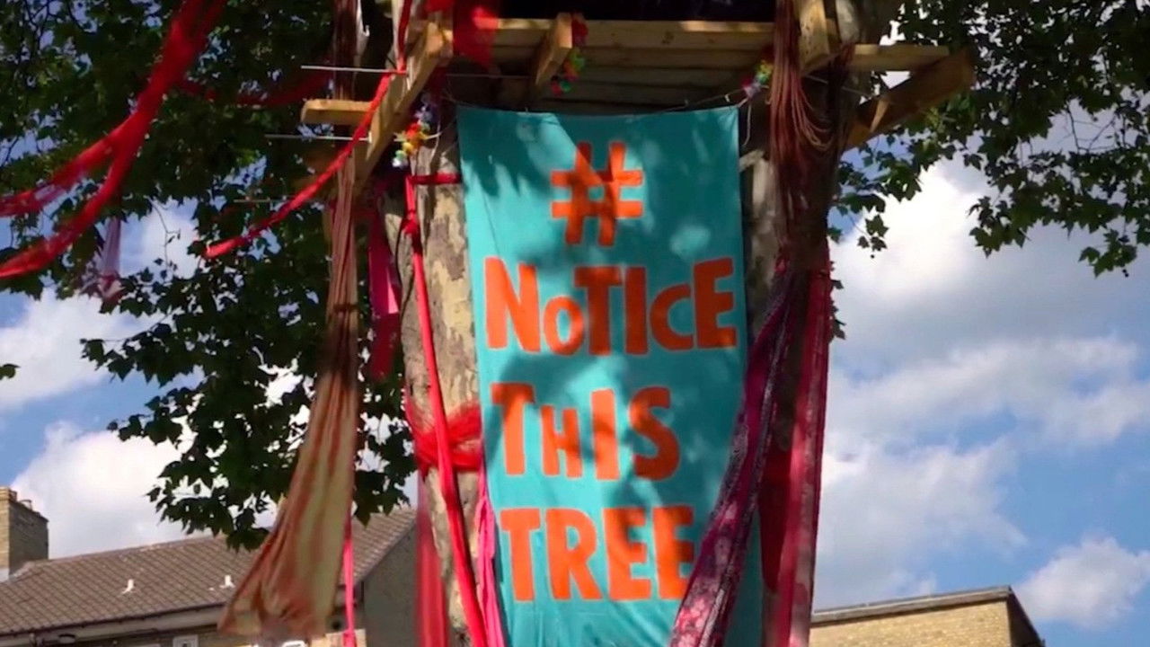 The Happy Man Tree backdrop