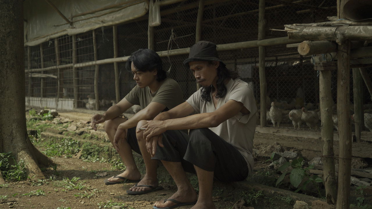 The Chicken Who isn't There backdrop