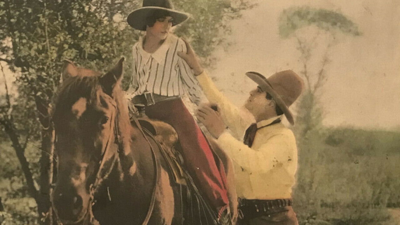 Hurricane Hal backdrop