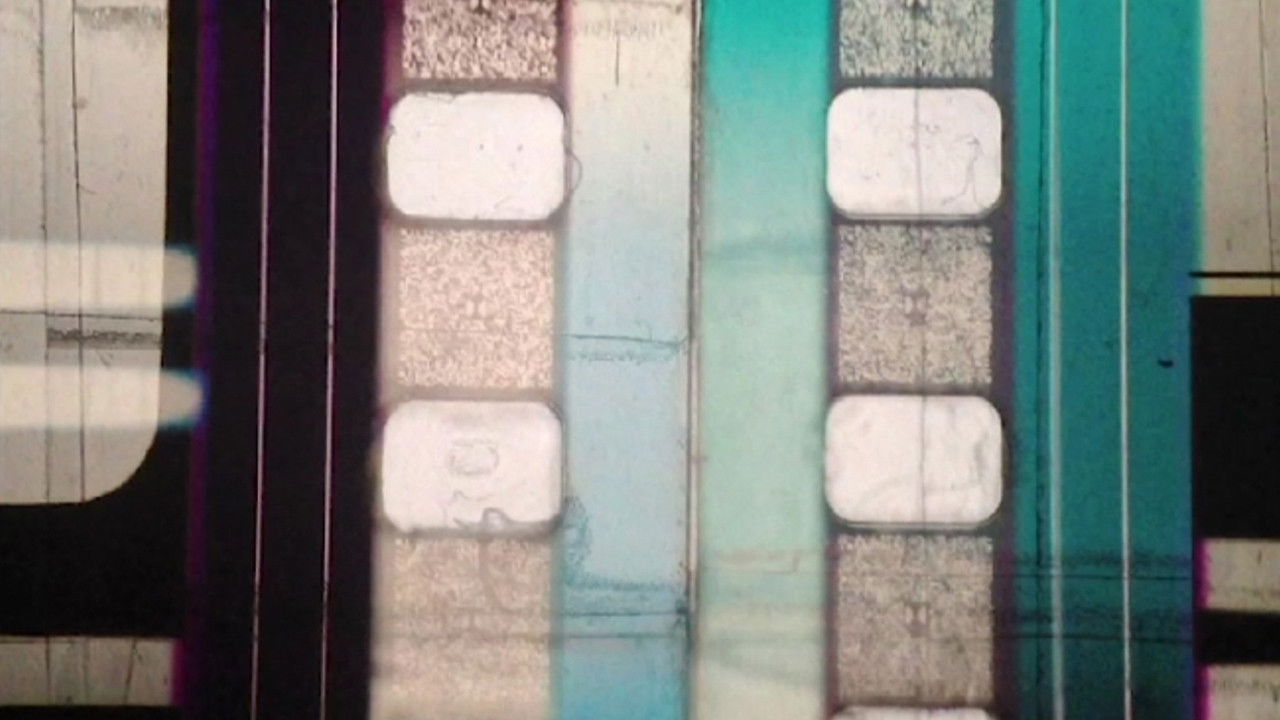 Head, Tail, Rail backdrop