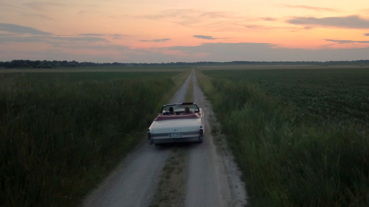 Green Frog Cafe backdrop