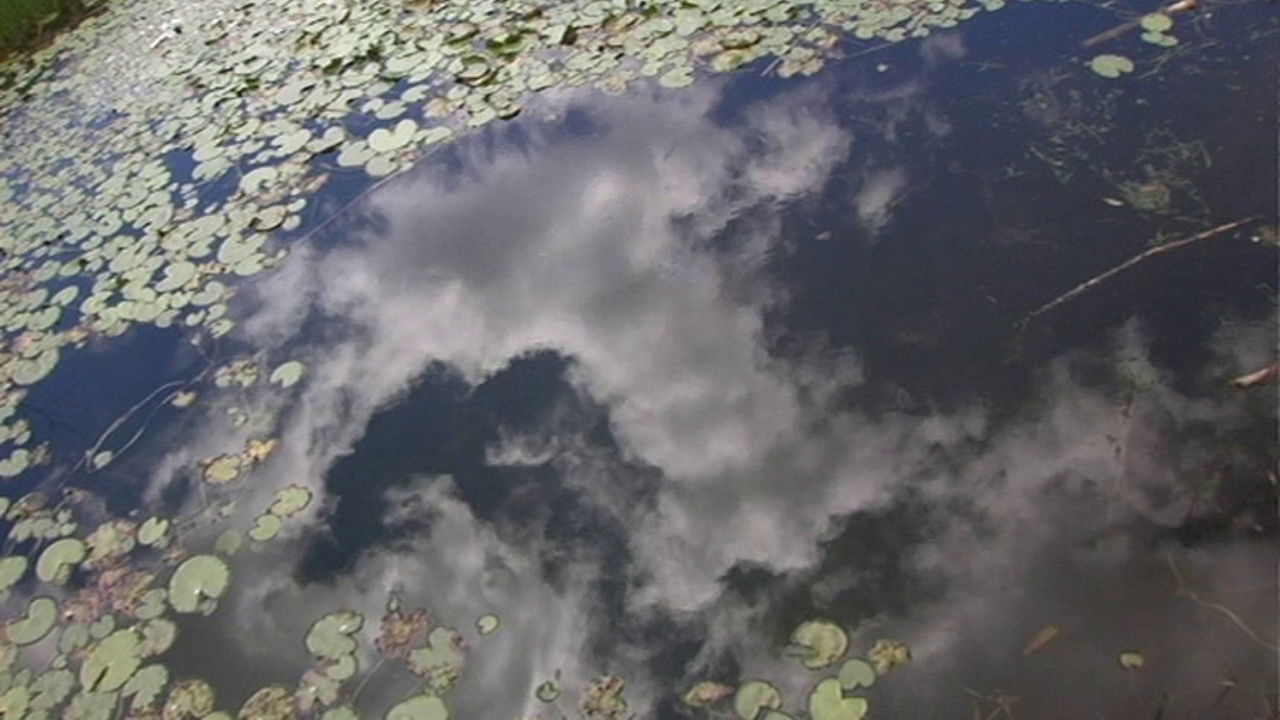 A Day of the GOD Island backdrop