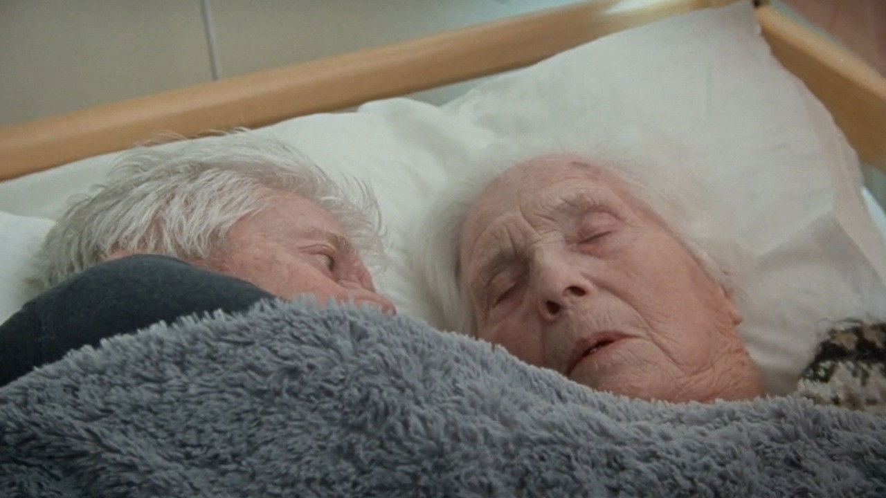 The Ground Beneath Our Feet backdrop