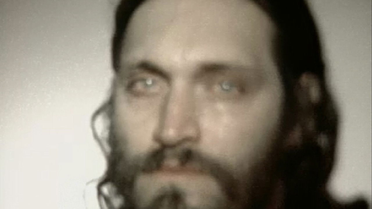 Honey Bunny backdrop