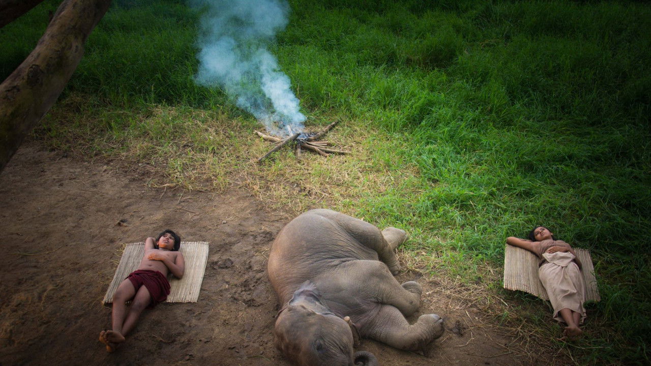 Ali Kathawa backdrop