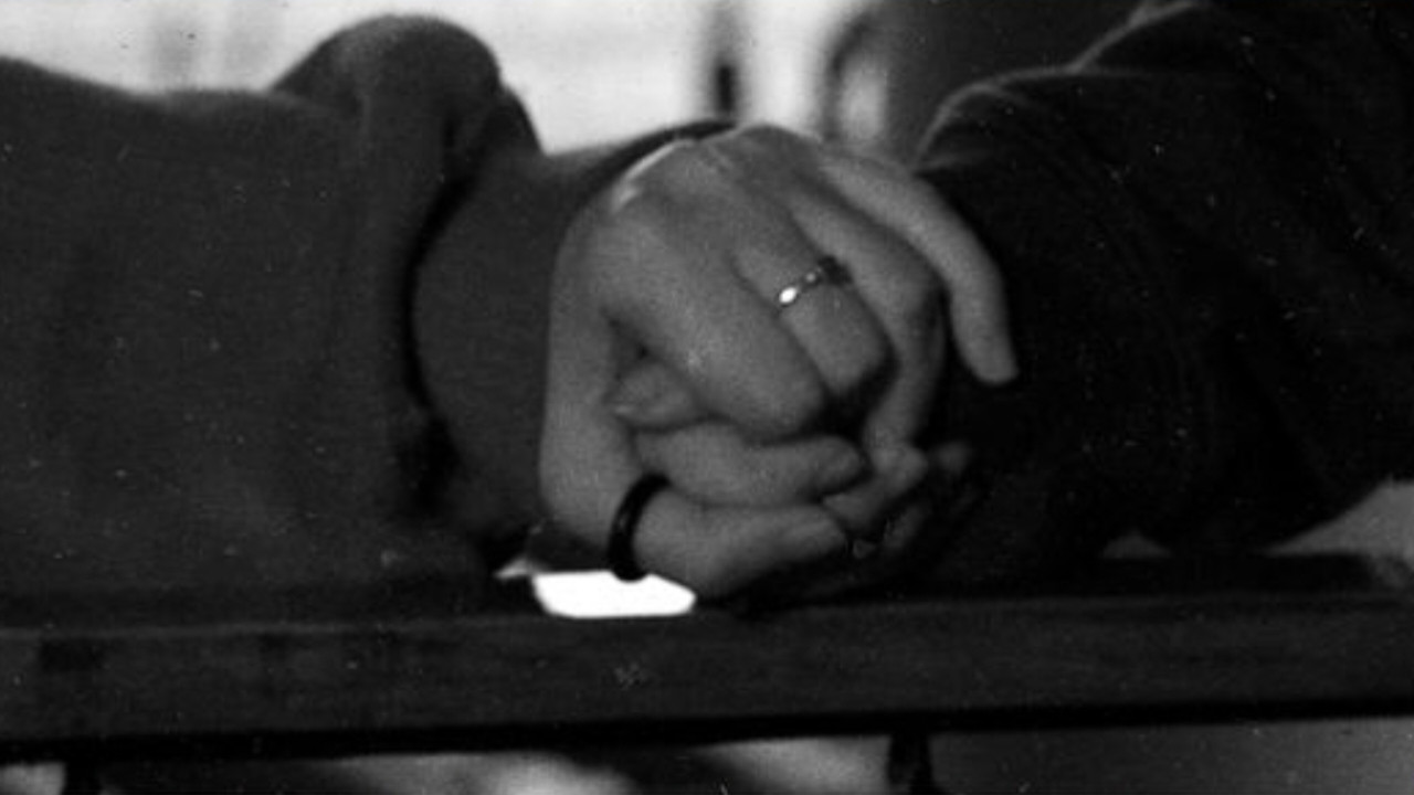 O Elefante Na Sala backdrop