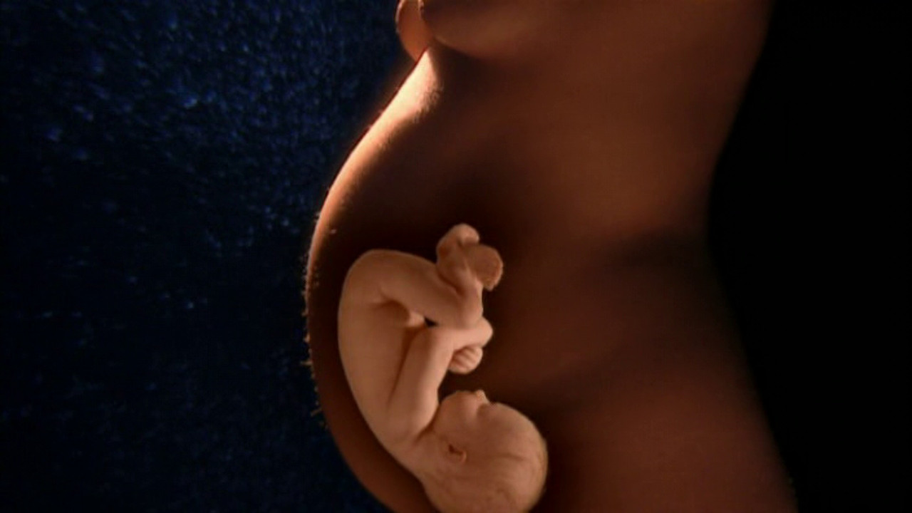 Das Wunder des Lebens backdrop