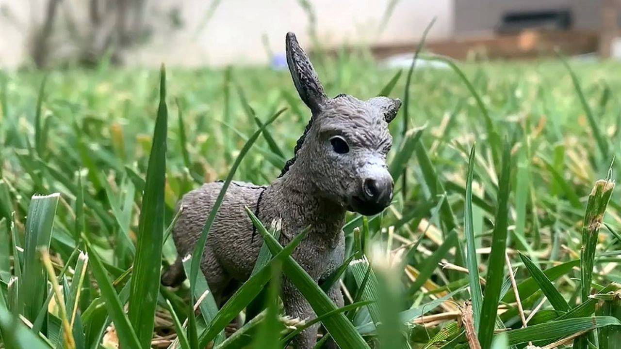 The Conversations of Donkey and Rabbit backdrop