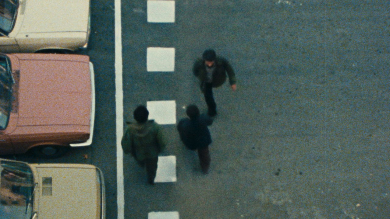 Orderly or Disorderly? backdrop