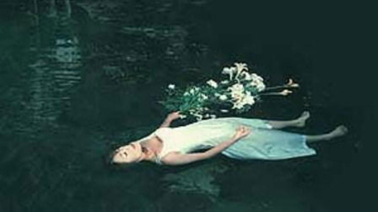 Akame 48 Waterfalls backdrop