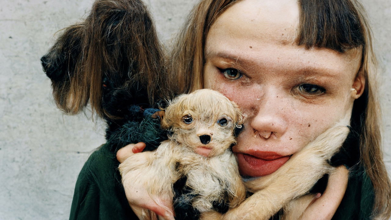 Counterfeit Poast backdrop
