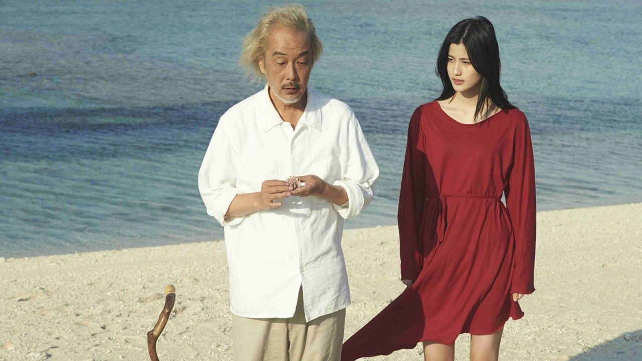 The Shell Collector backdrop