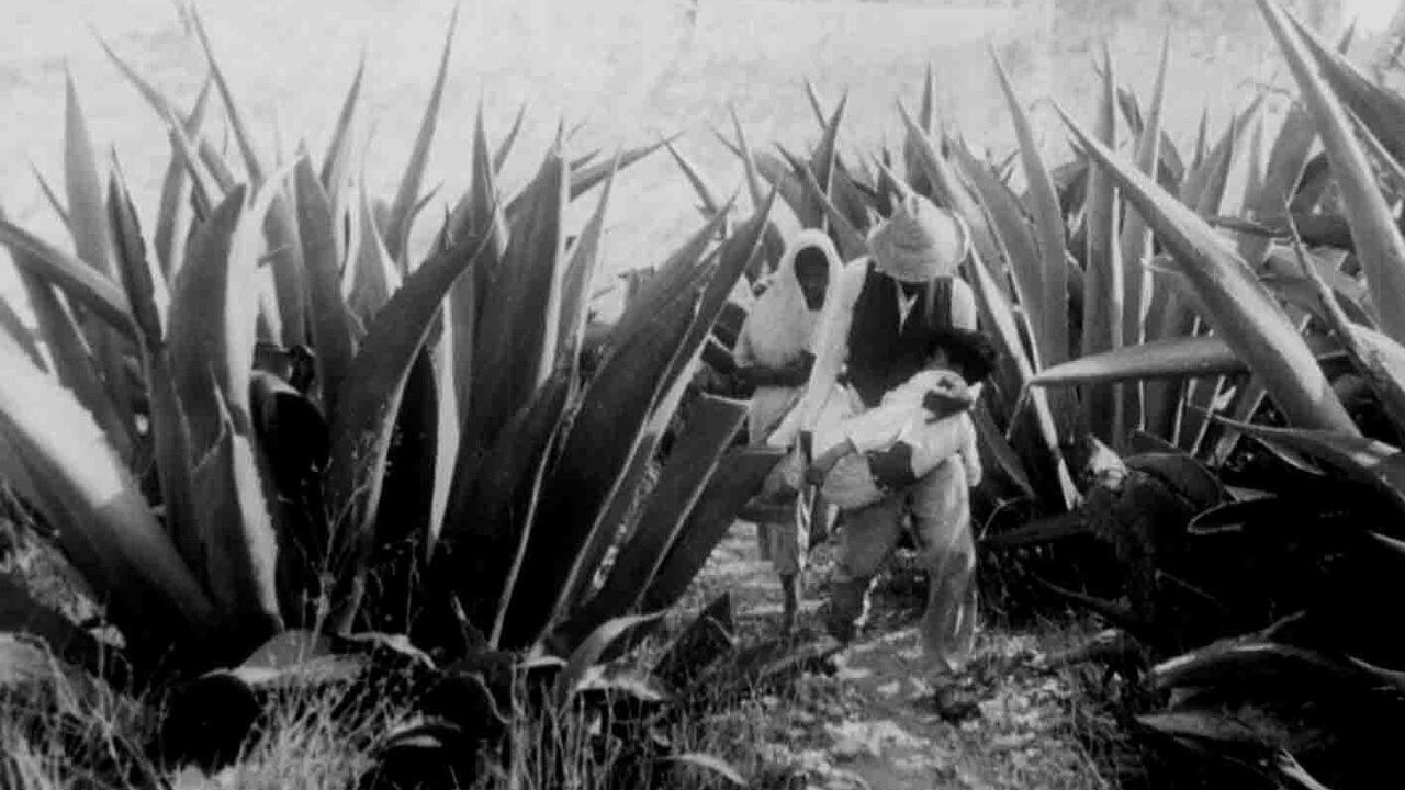 Dispossession backdrop