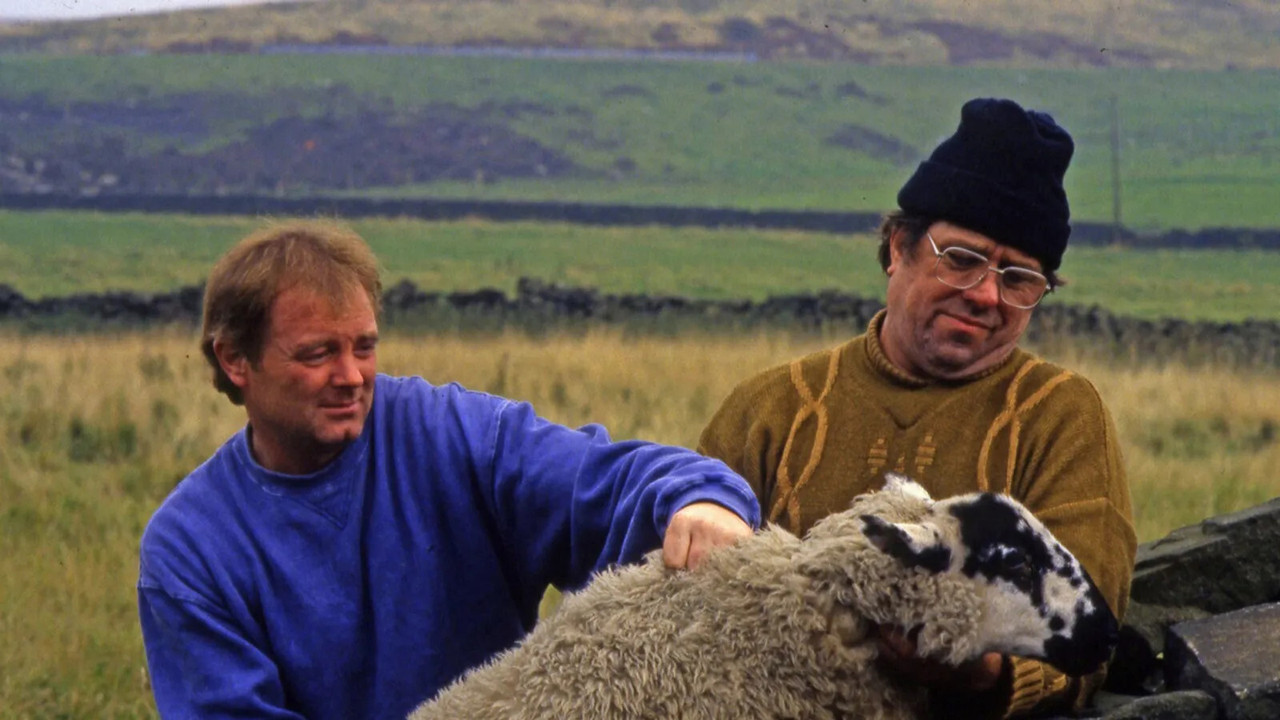 Raining Stones backdrop
