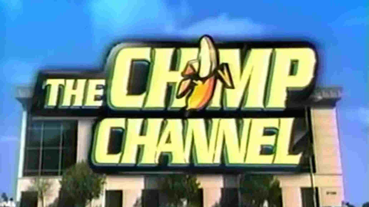 The Chimp Channel backdrop