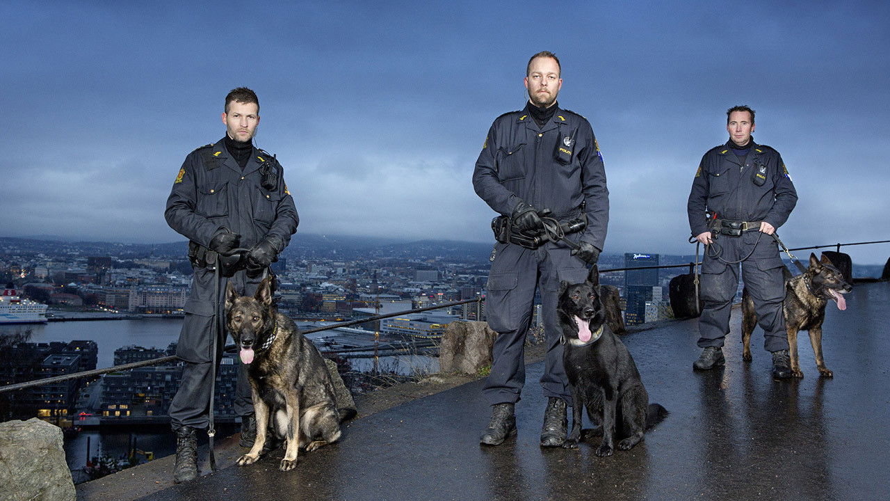 Hundepatruljen Oslo backdrop