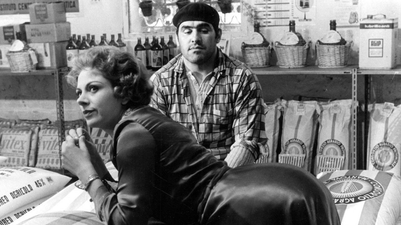 The Visitor backdrop