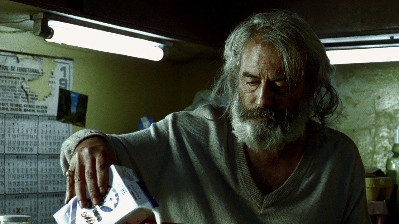 Amores Perros backdrop