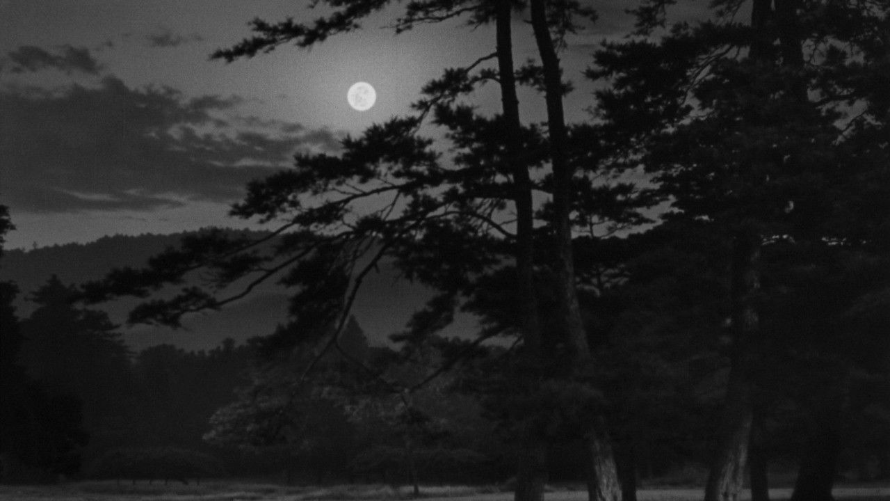 The Moon Has Risen backdrop