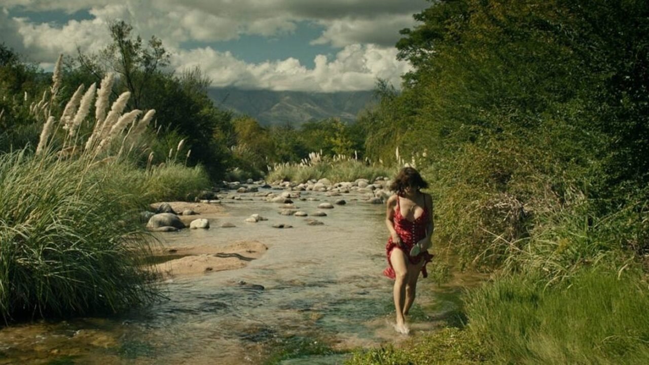 Thesis on a Domestication backdrop