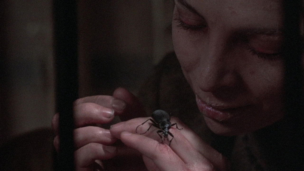 Do You Remember Love backdrop