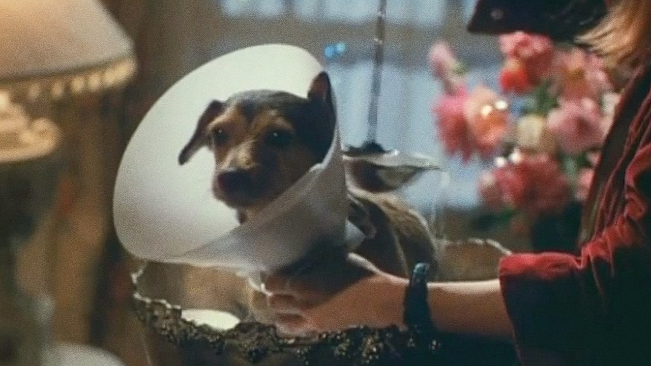 Every Dog Has Its Day backdrop