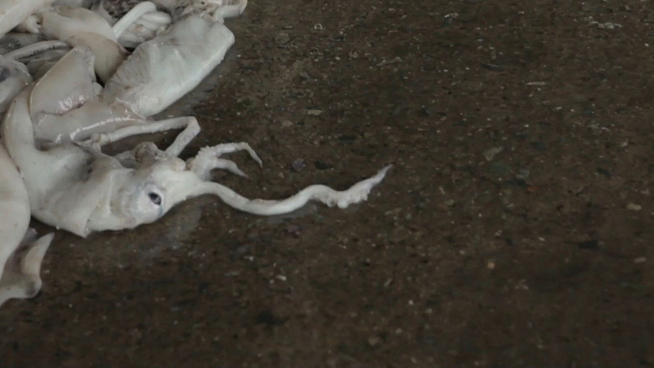 Describe the Color Red to a Blind Man backdrop