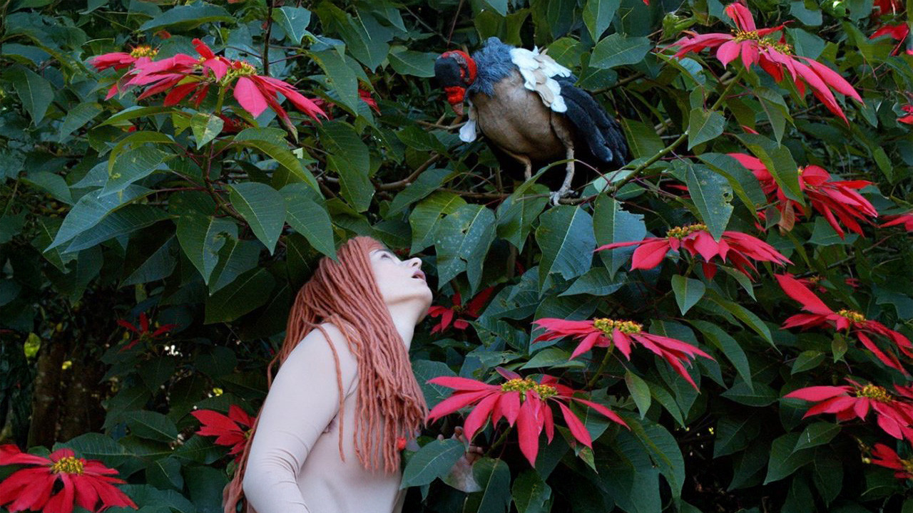 The Diaries of Adam and Eve backdrop