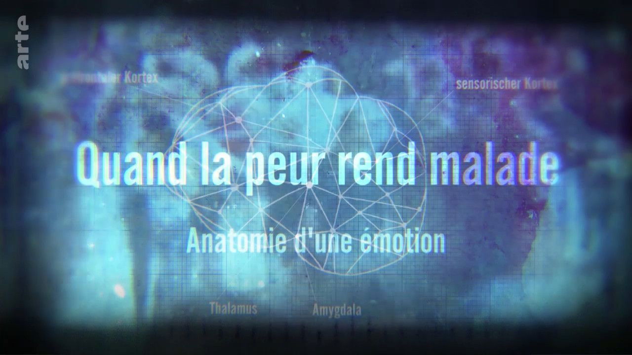 Quand la peur rend malade - Anatomie d'une émotion backdrop