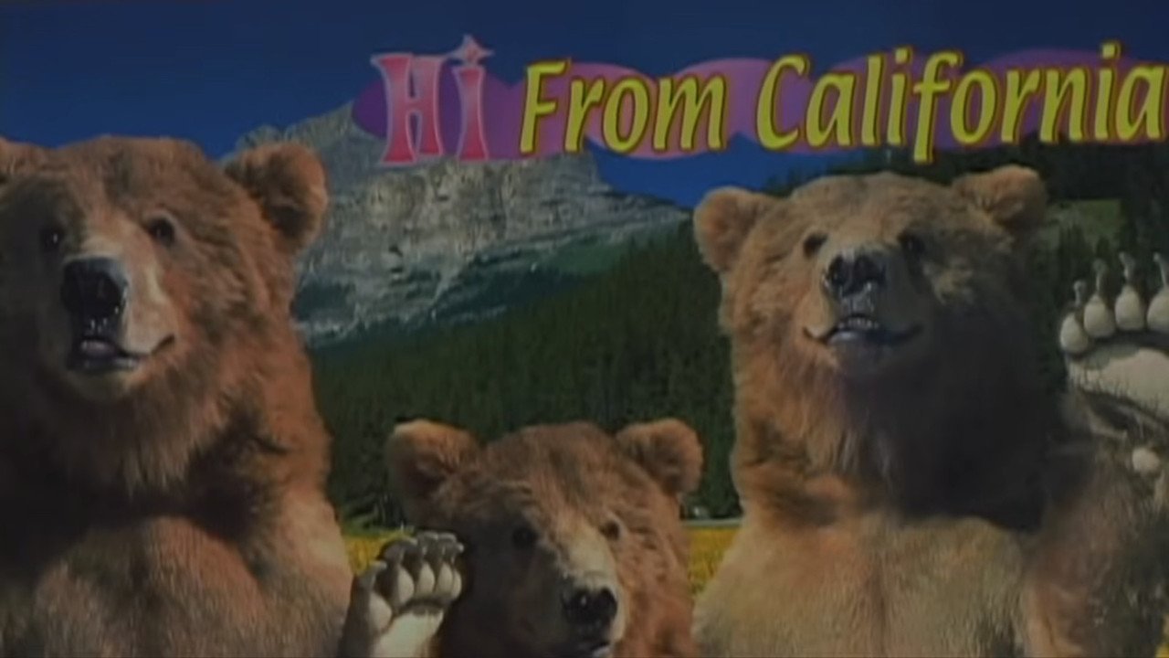 The Backseatsman backdrop