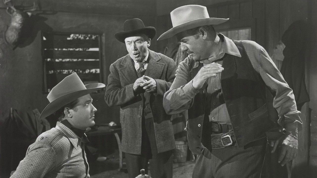 The Timber Trail backdrop