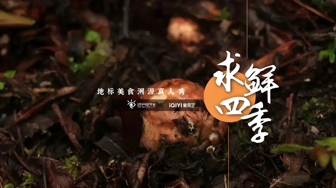 求鲜四季 backdrop