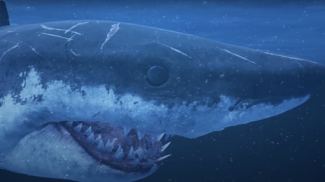 Mummy Shark backdrop