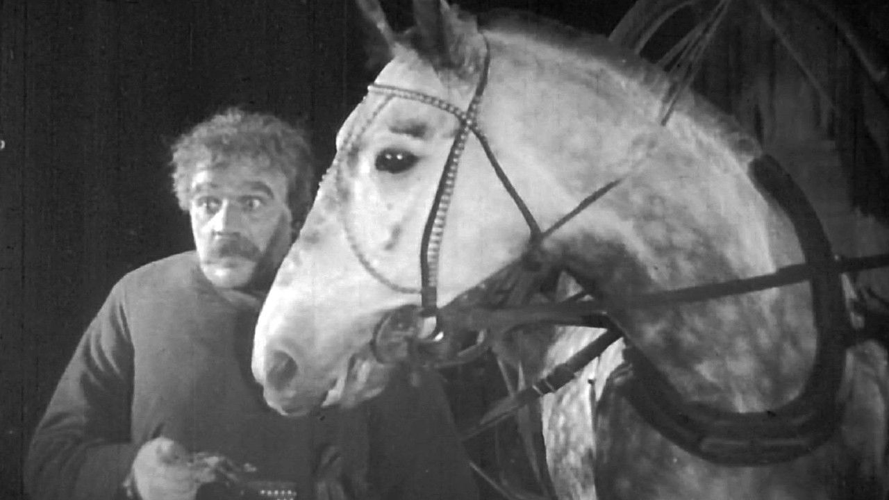 Night Coachman backdrop