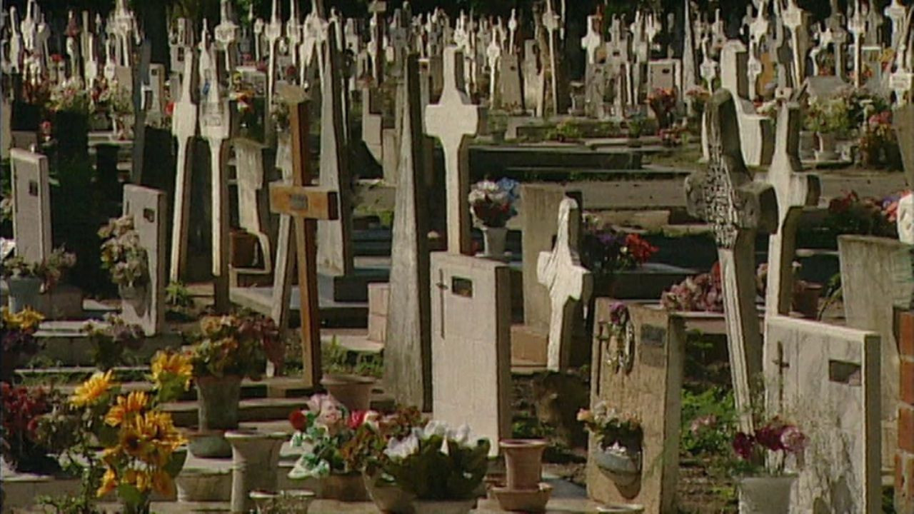 Missing Generation backdrop