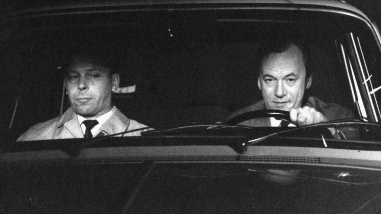 Driving in the Night backdrop