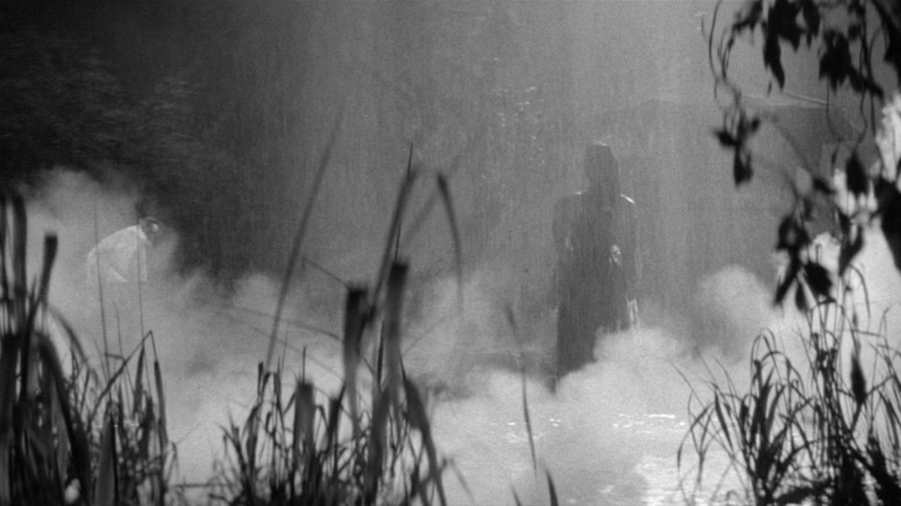 Bakeneko: A Vengeful Spirit backdrop