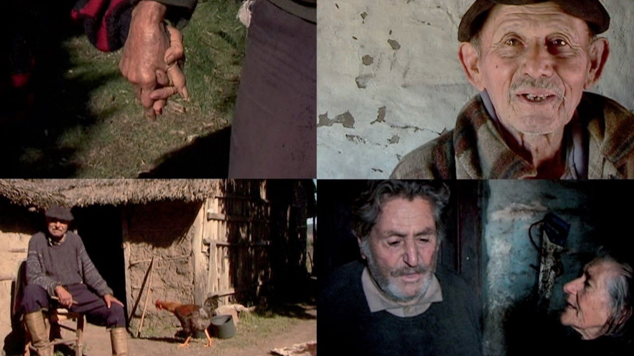 Growing Old Living backdrop