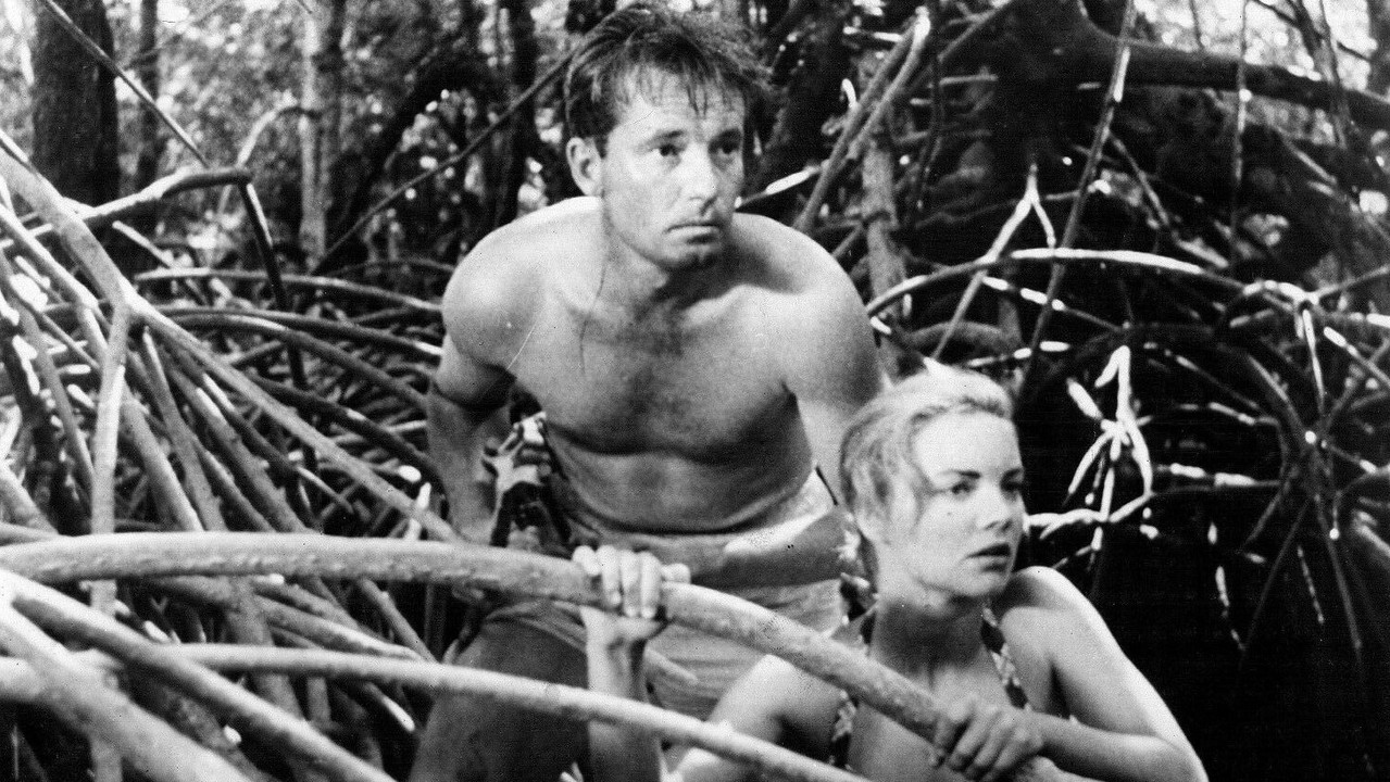 King of the Coral Sea backdrop