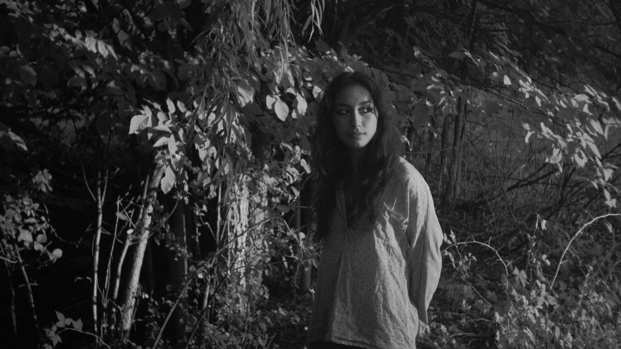 Journal de la sentinelle backdrop