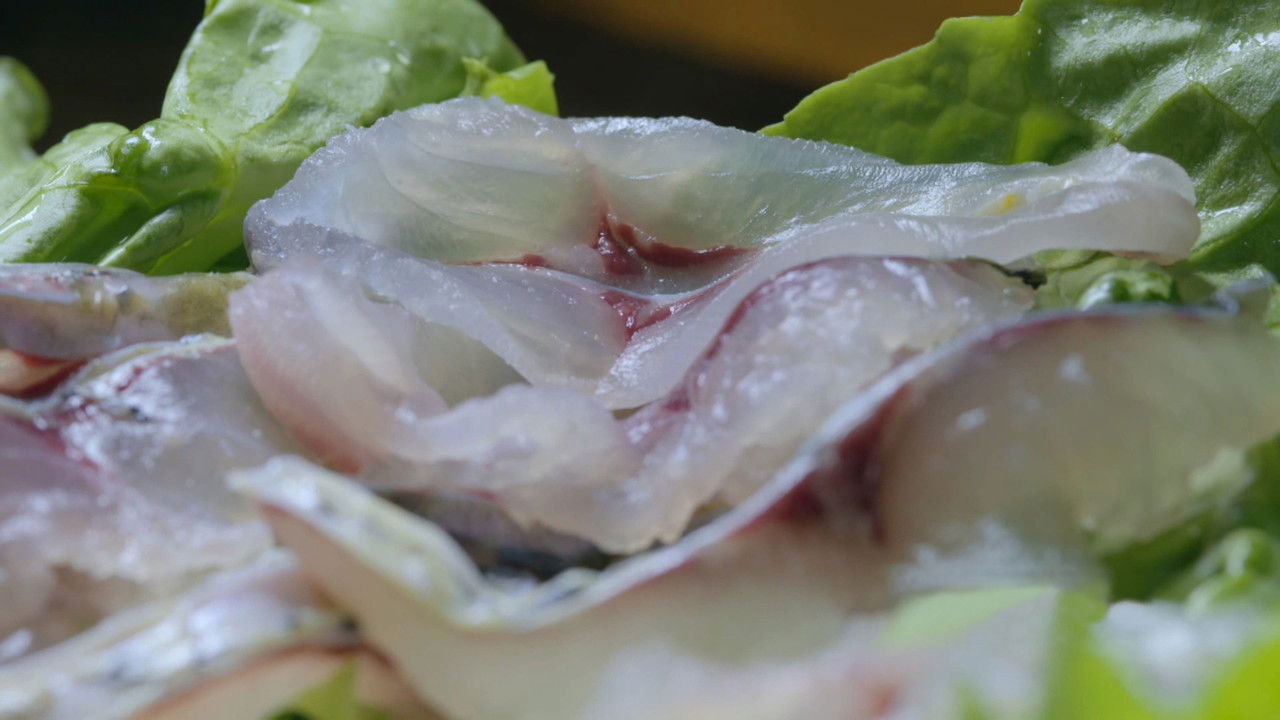 寻味顺德 backdrop