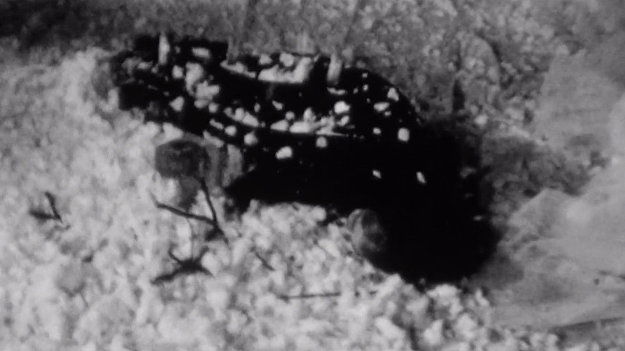 Spring and Winter backdrop