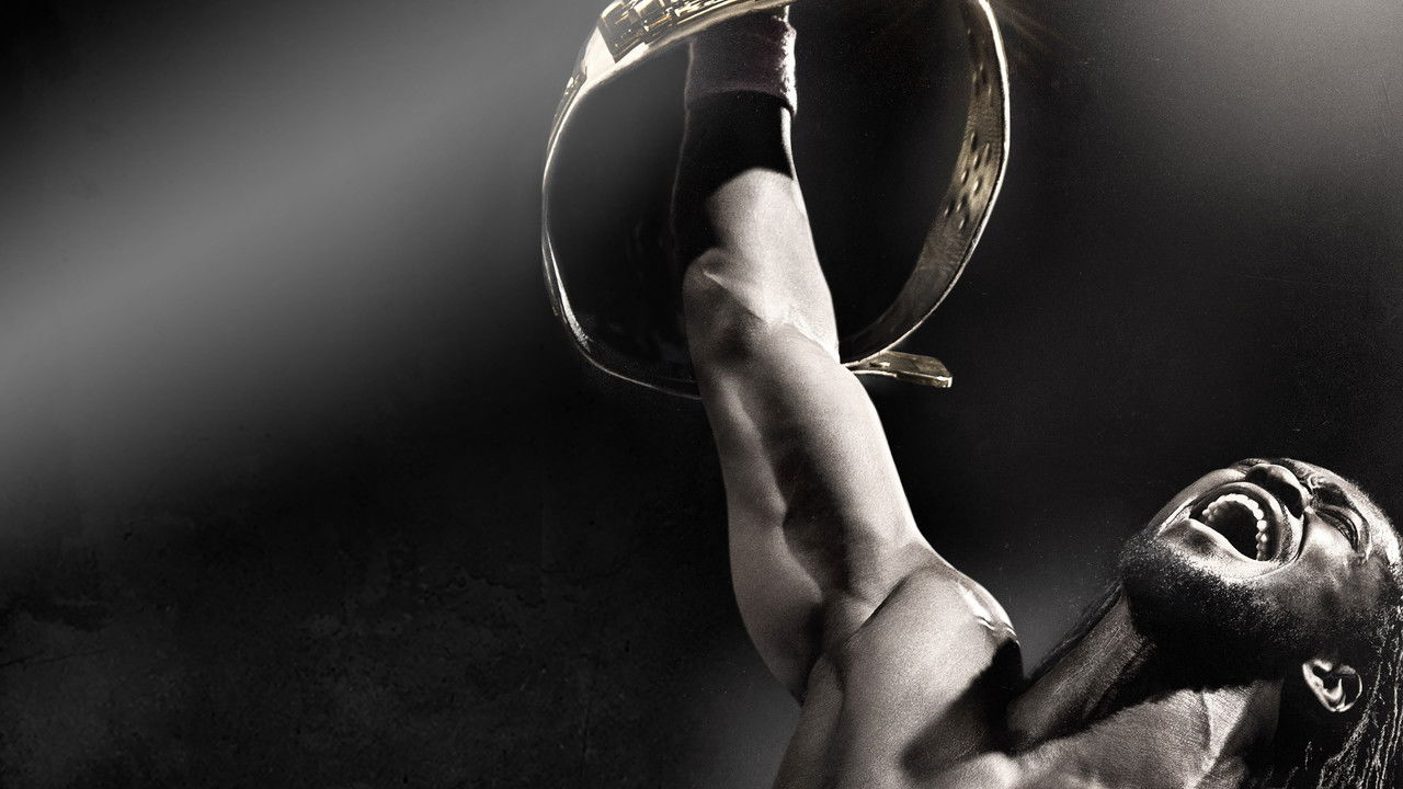 WWE Night of Champions 2013 backdrop