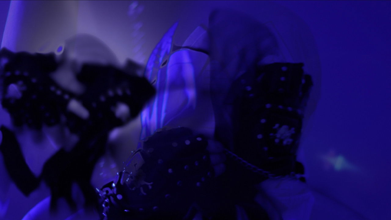 A Message For Nobody backdrop