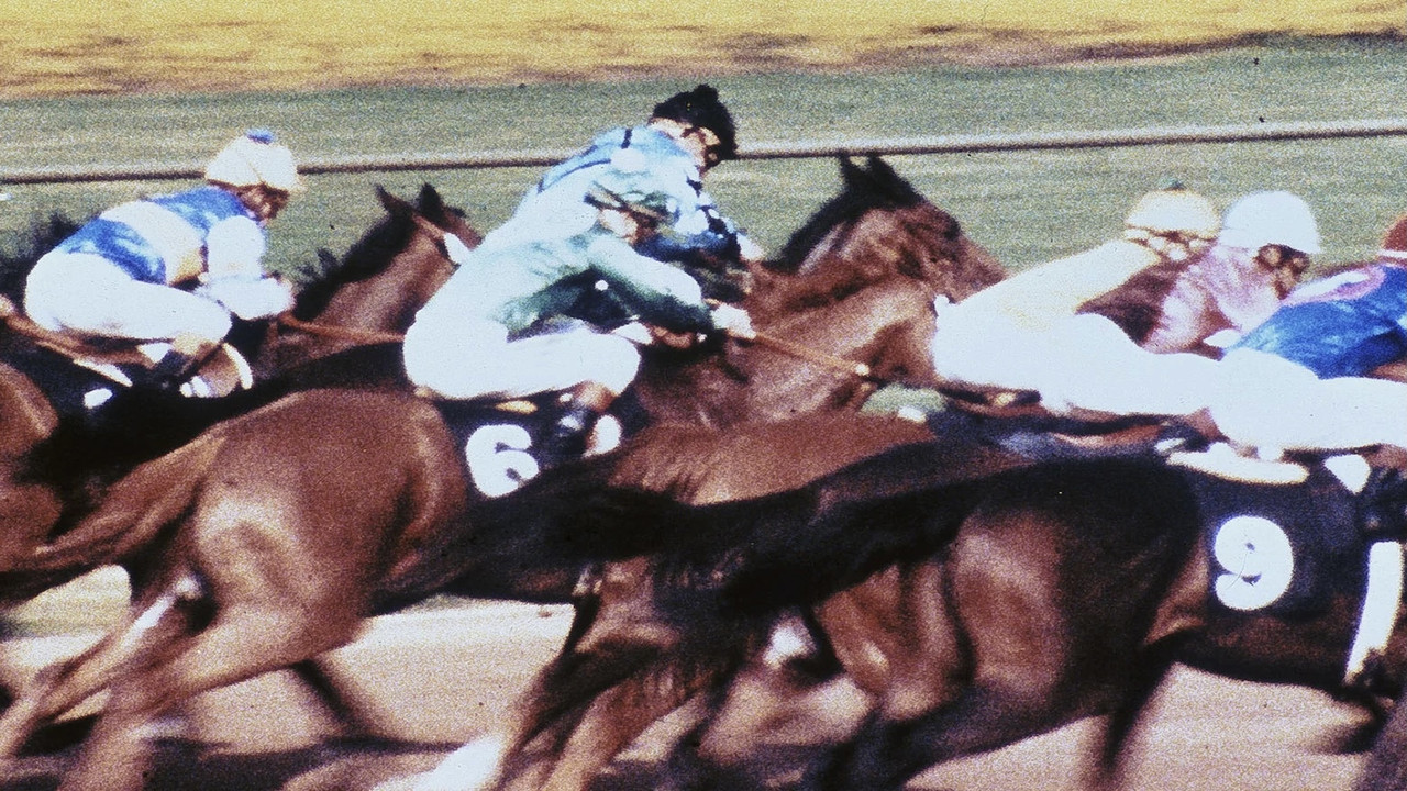 The Bluegrass Special backdrop