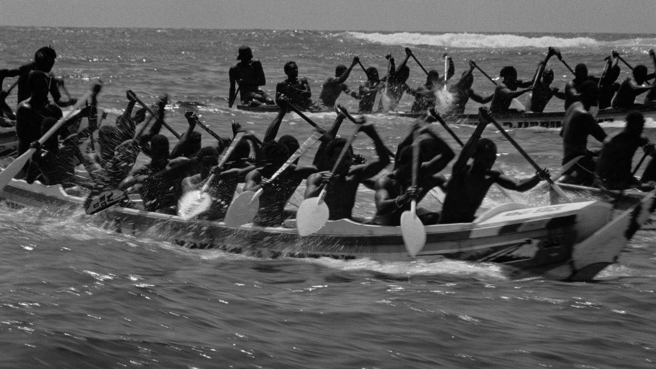 All Day I Dream About Sport backdrop